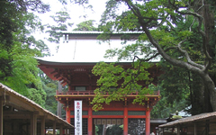 �����_�{ �֓���l