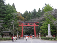 ����_�{ �֓���l